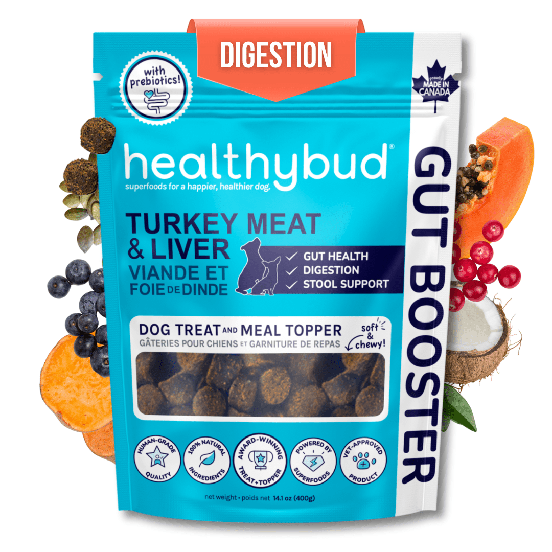 Le « Gut Booster » (Dinde) - Healthybud
