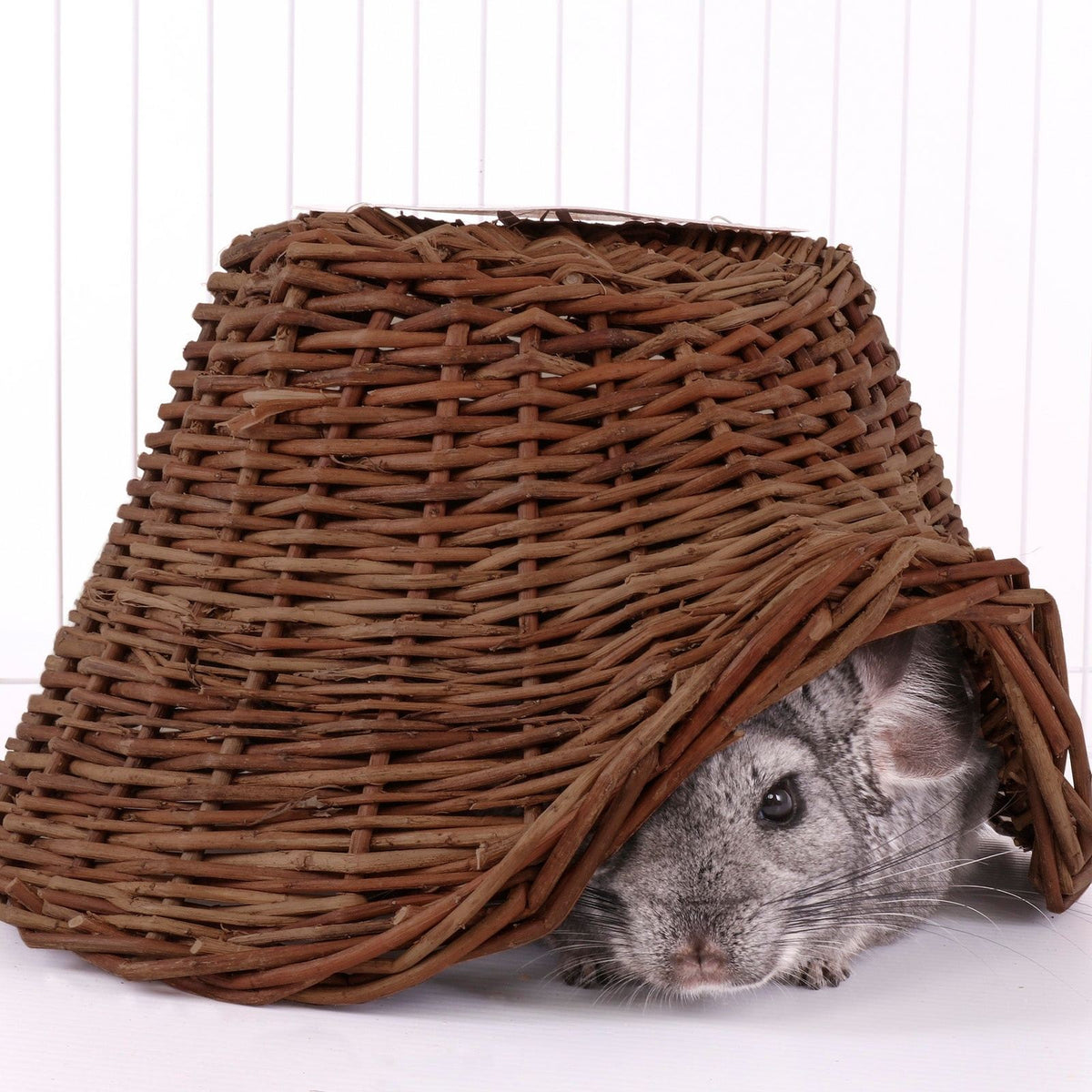 Twigloo cachette pour petits animaux - Ware