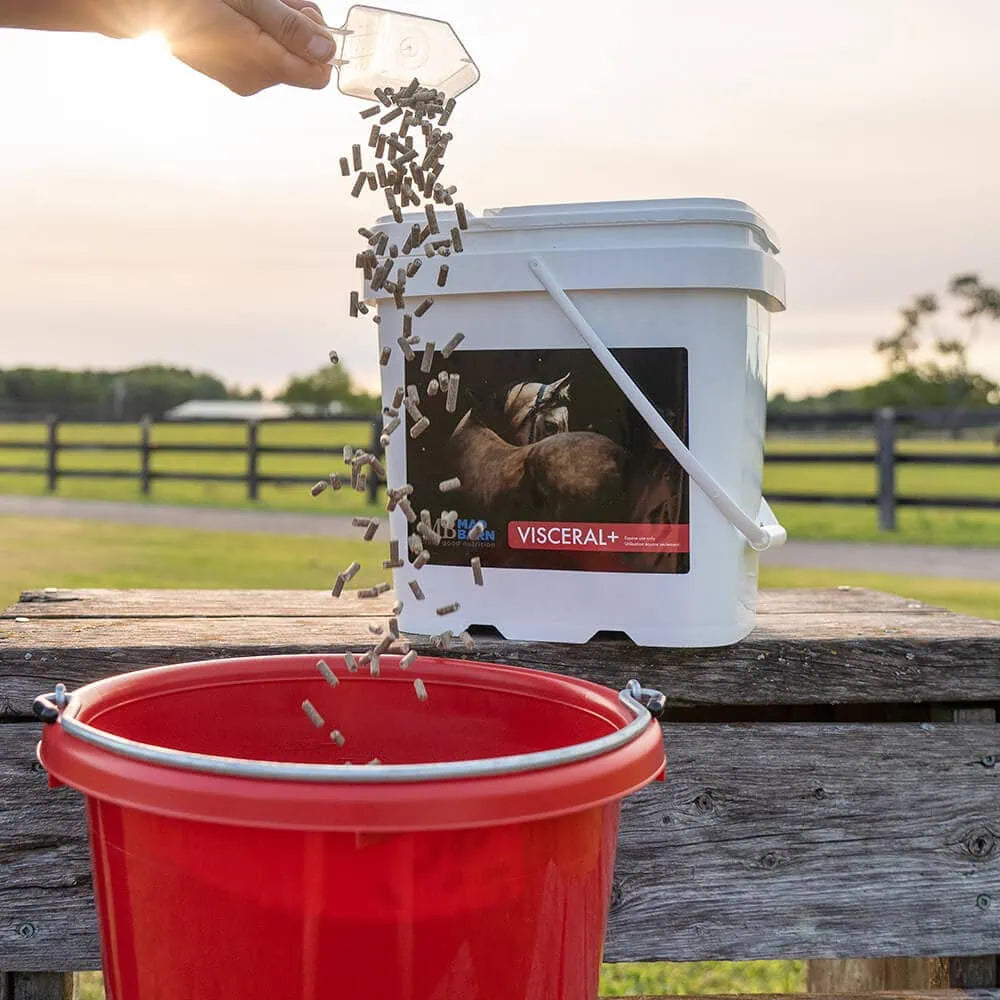 Visceral+ - Mad Barn