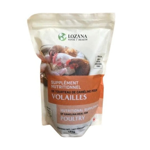 Supplément nutritionnel de tourteau de caméline pour volailles - Lozana Health
