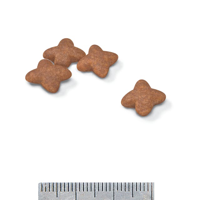 Croquettes chien adulte petite race 4 à 10 kg - Royal Canin