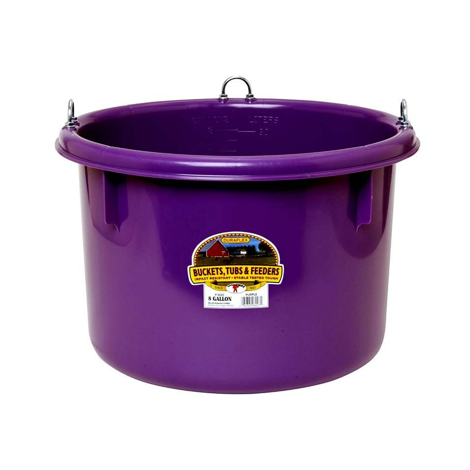 Plastic Feeder 8 Gal Bk P800